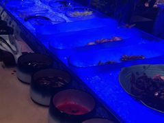 -长沙三景韦尔斯利酒店·Oval全日制餐厅自助餐