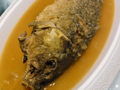 -豫丰汇河南名菜楼(武记餐饮)