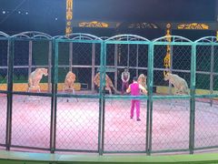 -山西乌金山旅游区