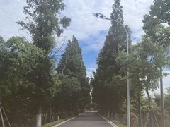 -碧海金沙