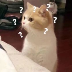 -MAGIC米几发型设计·羊毛卷