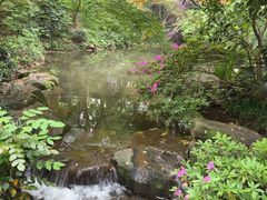 -中国茶叶博物馆(双峰馆区)