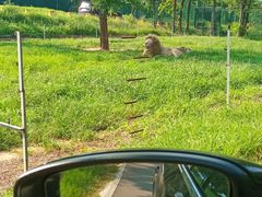-秦皇岛野生动物园