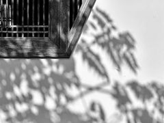 -龙华寺