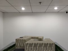 -江苏省美术馆(长江路新馆)