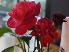 -MARU玛露音乐餐厅(大学路店)