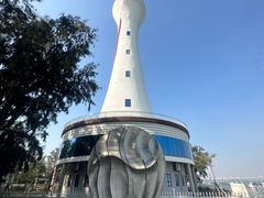 -北海金海湾红树林生态旅游区