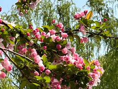 -元大都城垣遗址公园