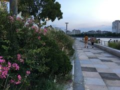 -宁波大剧院