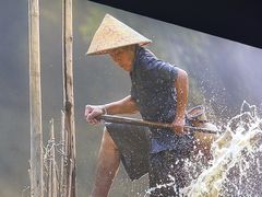 -后湖小院·乡野田园菜