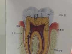 -土豆口腔(凤凰北总店)