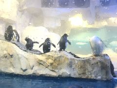 -华夏文旅西安度假区