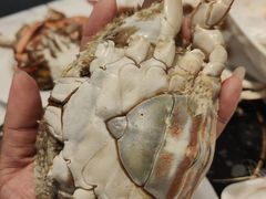 -半岛听涛蒸汽海鲜自助(K11店)