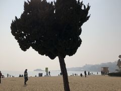 -青岛第二海水浴场