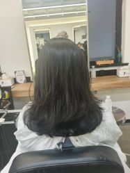 -蚂蚁造型俱乐部
