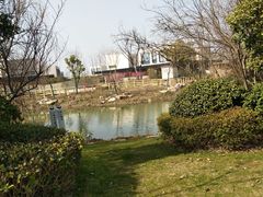 -桃花岛景观公园