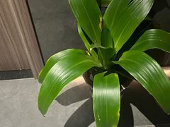 -天禧影院式足道·SPA(梅林店)