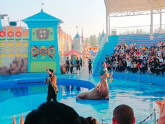 -华夏文旅海洋公园