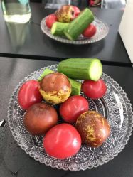 -G-SAGA形象设计