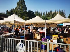 -郑和公园