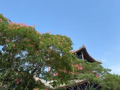 -天津妈祖文化园