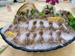-海鲨湾海鲜会馆(百家湖1912店)