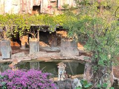 -长鹿旅游休博园