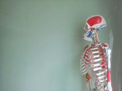 -无界瑜伽普拉提