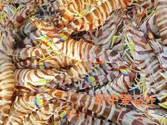 -台山侨雅海鲜粥底火锅(台山侨雅花苑店)