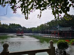 -广东圆玄道观