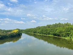 -大湾区中央湿地公园