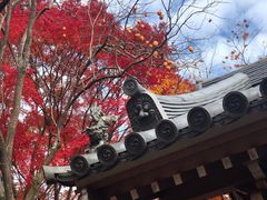 -常寂光寺
