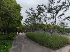 -上海吴淞炮台湾国家湿地公园