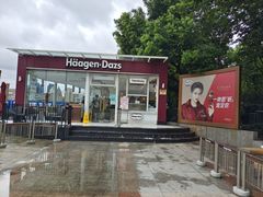 -哈根达斯(滨江店)