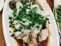 清蒸石斑-沙田鸽王(解放路店)
