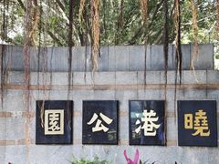 -晓港公园