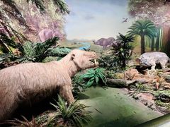 -湖南省地质博物馆