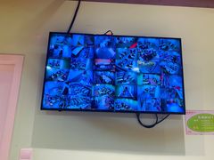 -学知乐教育·幼小衔接·小学科辅导(嘉定镇校区)