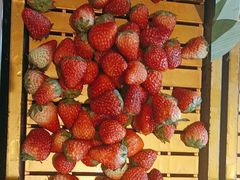 -一绪に寿喜烧(夫子庙水游城店)