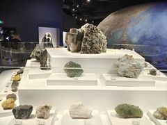 -重庆自然博物馆(新馆)
