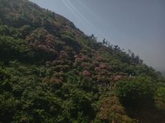 -木兰云雾山