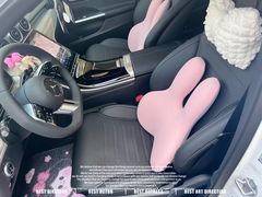 -谢列梅捷沃国际机场