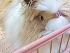 -成都失恋馆