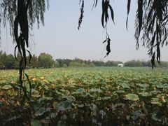 -云龙湖旅游景区