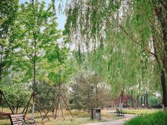 -永定河休闲森林公园