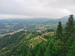 -紫鹊界梯田景区