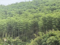 -莫干山风景区