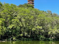 -深圳仙湖植物园