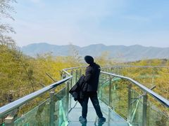 -陶祖圣境风景区