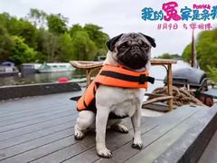 -北京英嘉国际影城(金源CINITY店)